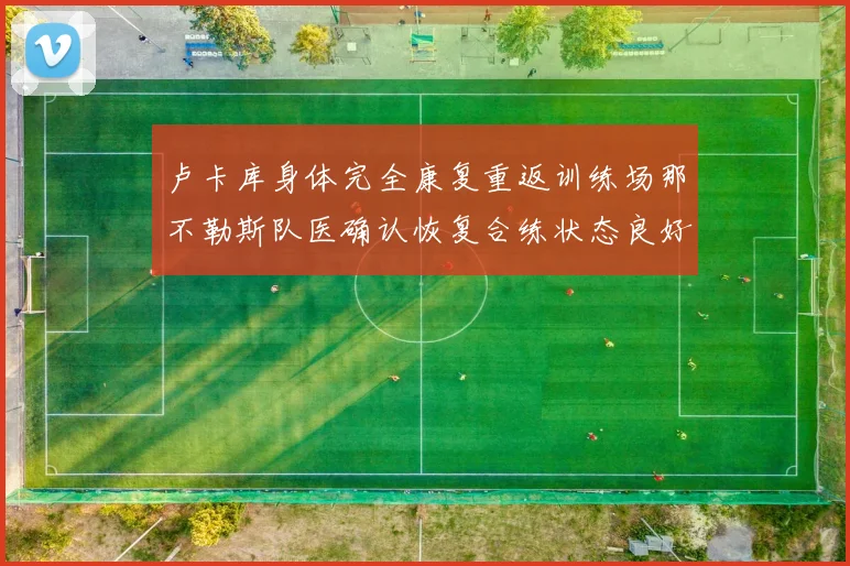 卢卡库身体完全康复重返训练场那不勒斯队医确认恢复合练状态良好
