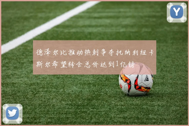 德泽尔比推动热刺争夺托纳利纽卡斯尔希望转会总价达到1亿镑