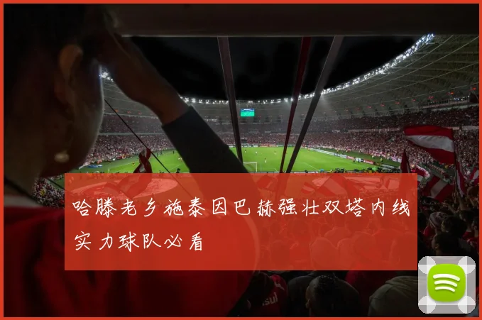 哈滕老乡施泰因巴赫强壮双塔内线实力球队必看